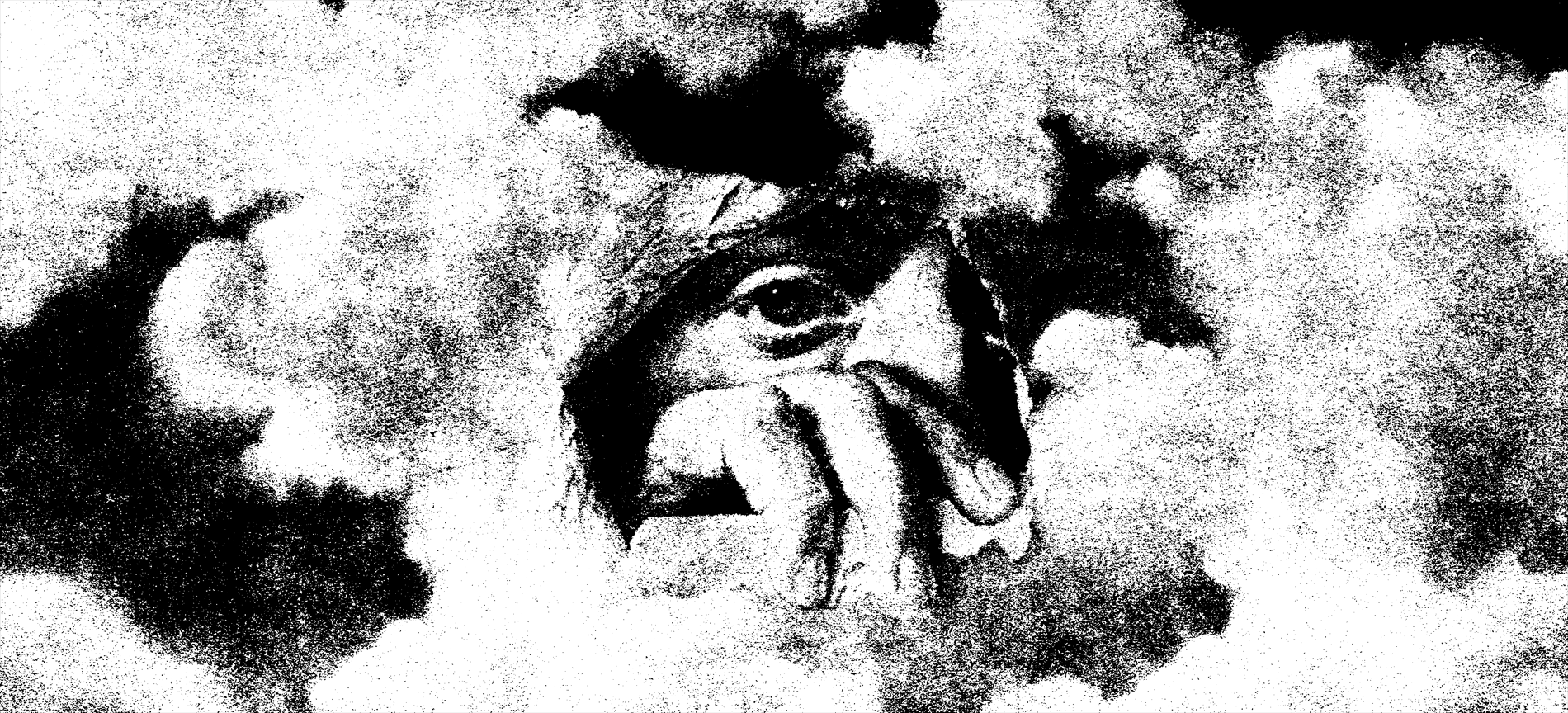 Primera tesis: lo que hay es ininteligible